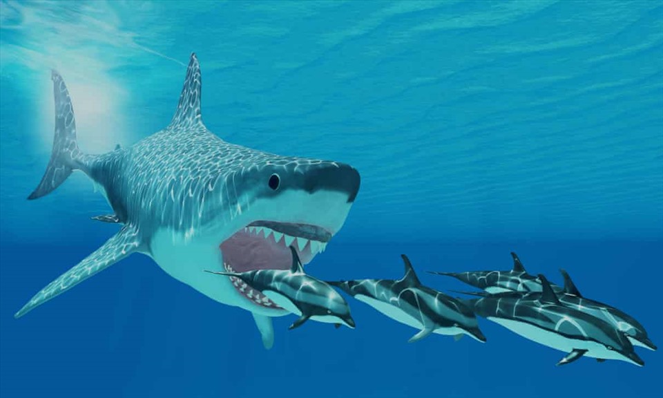 Lần đầu, kích thước đầy đủ của cá mập khổng lồ thời tiền sử được tiết lộ